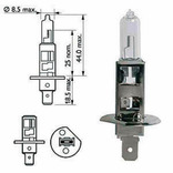 ampoule h1 12 v
